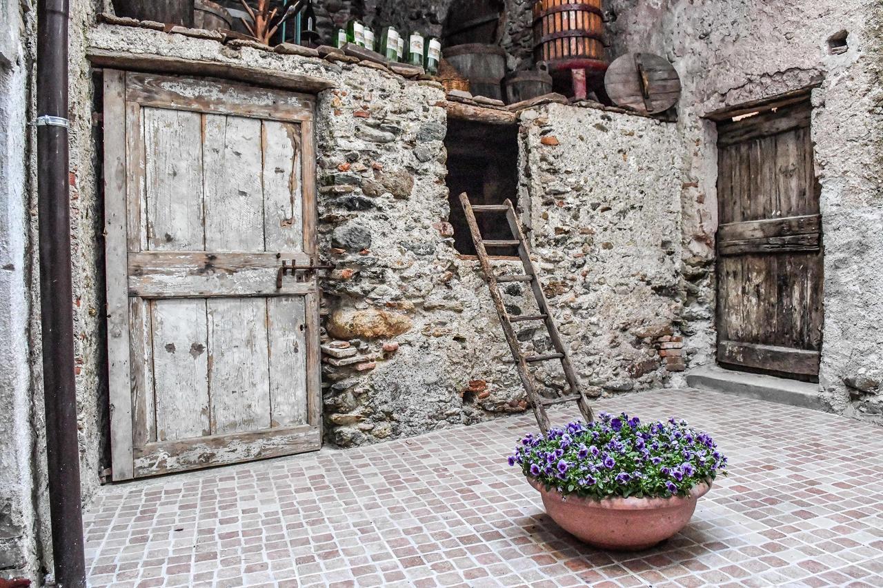 La Terra Di Mingo Bed and Breakfast Vado Ligure Eksteriør billede