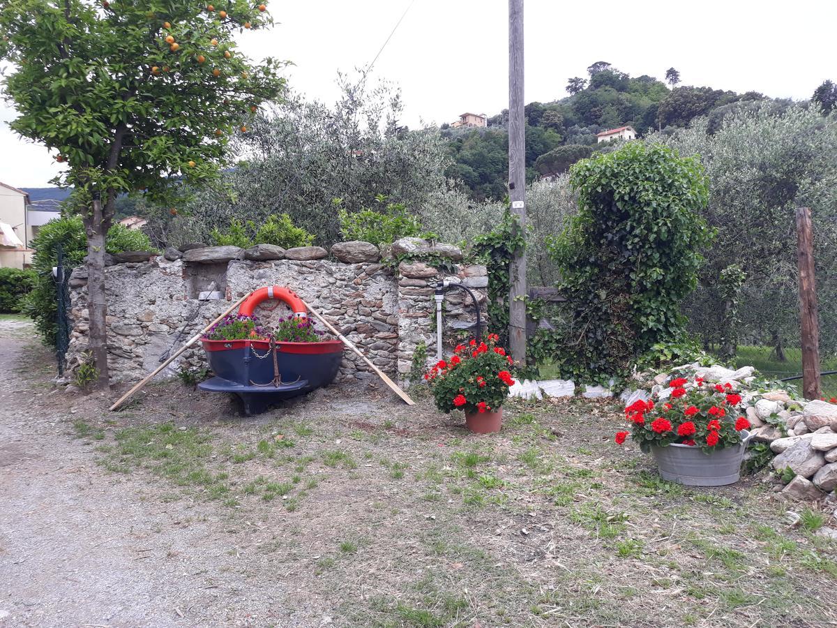 La Terra Di Mingo Bed and Breakfast Vado Ligure Eksteriør billede